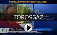 Toros Gaz